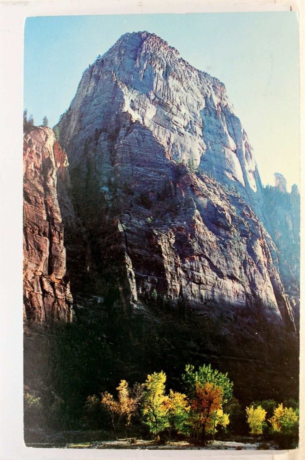 Utah Ut Zion National Park Great White Throne Virgin River Autumn Postcard Old